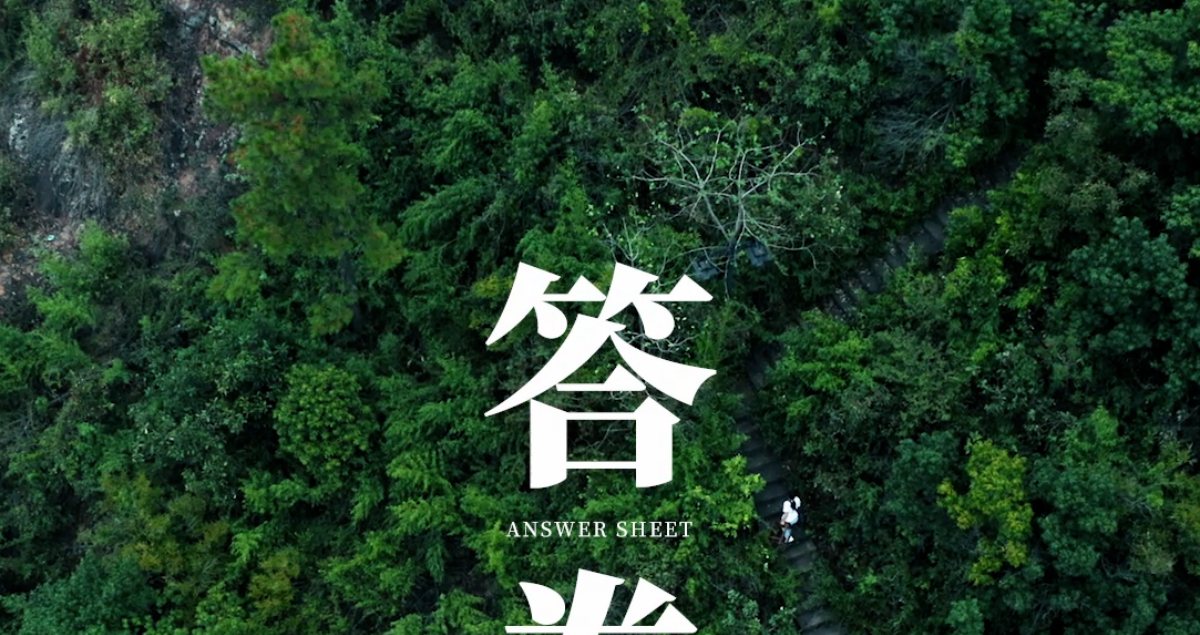 力知影视