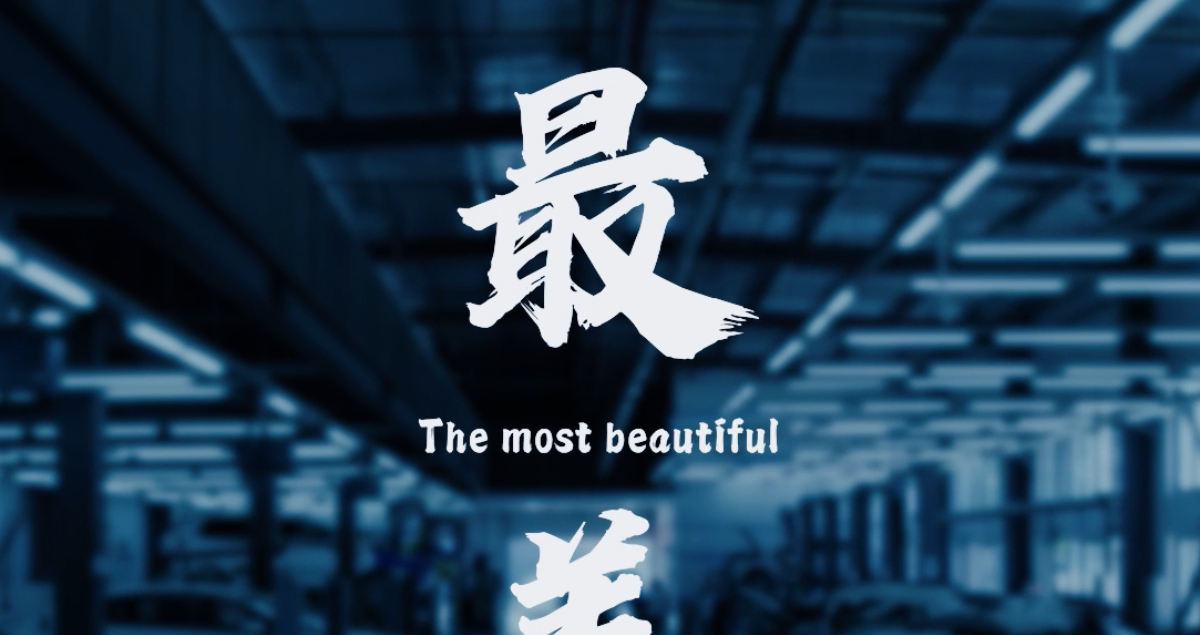 力知影视