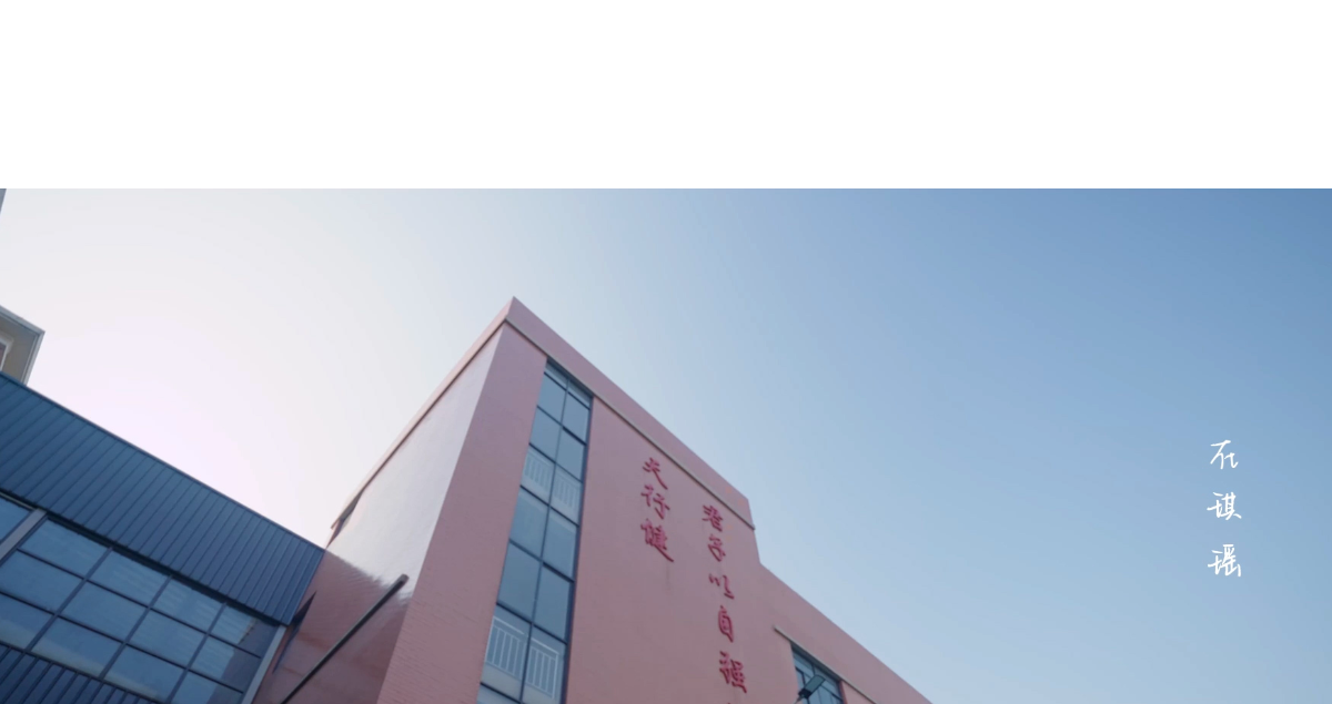 力知影视