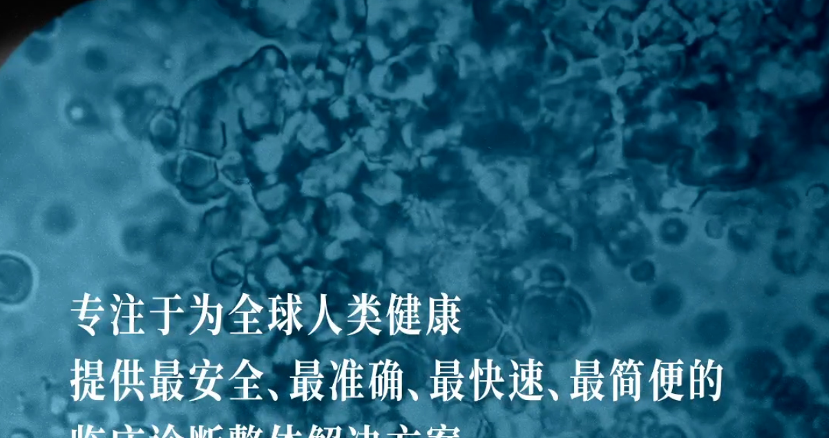 力知影视