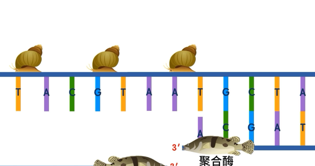 力知影视