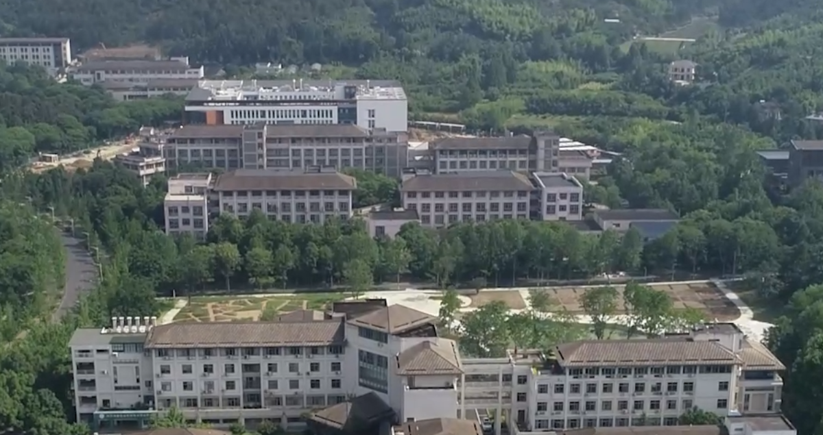 力知影视