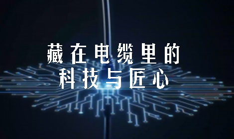 力知影视