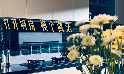 力知影视