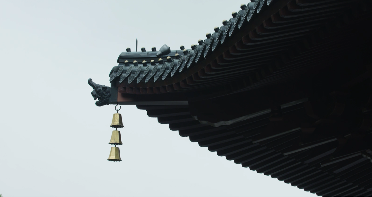 力知影视