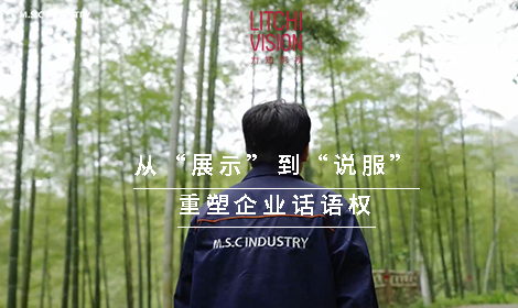 力知影视